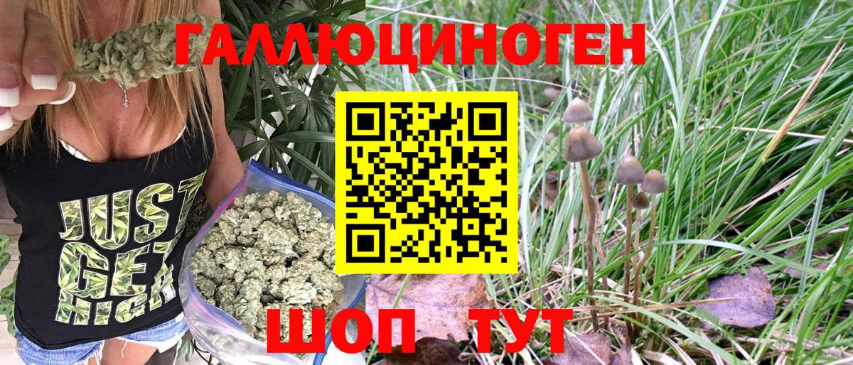 Галлюциногенные грибы MAGIC MUSHROOMS  Вход с VPN  Псилоцибиновые грибы Cubensis  Тайшет 